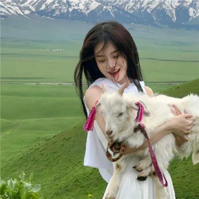 狗狗间谍